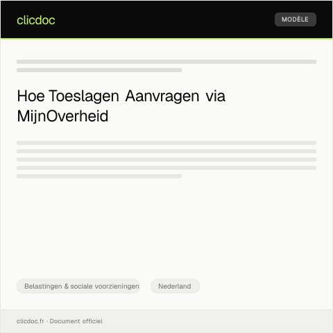 Documentvoorvertoning: Aanvraag toeslagen via MijnOverheid — Belastingen & sociale voorzieningen, Nederland