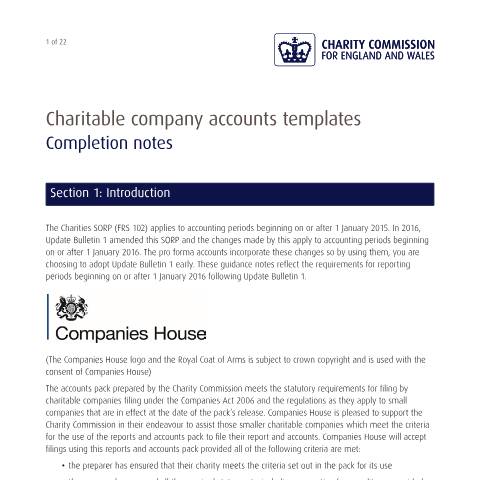 Document preview: Accruals accounts (CC17) SORP FRS 102 for charitable companies: charity accounting template — The Charity Commission, United Kingdom