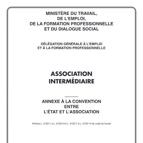 Aperçu du document Aide à l'accompagnement d'une association intermédiaire — Particuliers, France (CERFA n°12608*03)