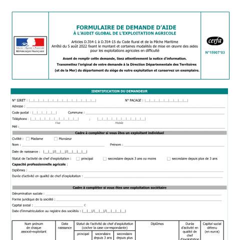 Aperçu du document Demande d'aide à l'audit global de l'exploitation agricole — Professionnels, France (CERFA n°15907*03)