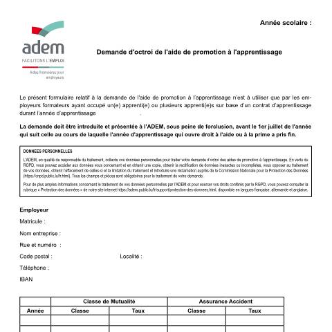 Aperçu du document Demande d’octroi des aides et primes de promotion de l’apprentissage — Aides, Luxembourg (CERFA n°Apprentissage-Employeur)