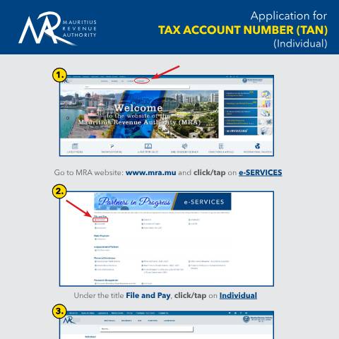 Document preview: Application for Tax Account Number (TAN) — Form, Mauritius (CERFA n°ApplicationforTAN-Individual)