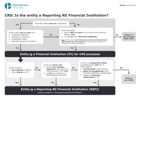 Document preview: Is the entity a Reporting NZFI under CRS? — International, New Zealand (CERFA n°IR1050)