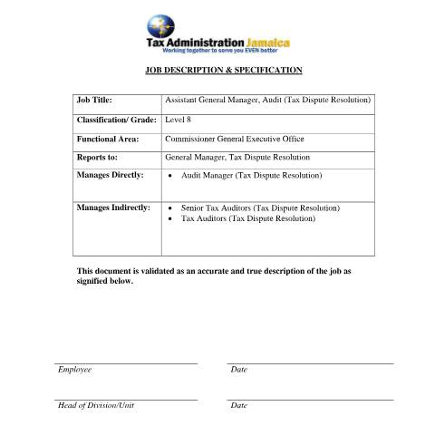 Document preview: Assistant General Manager, Audit (Level 8) — Document, Jamaica (CERFA n°Assistant+General+Manager+-+Audit+(Tax+Dispute+Resolution))