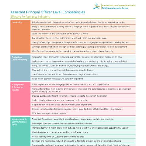 Document preview: Competition for Assistant Principal Officer ICT Application Solutions Lead — 2025 Appendix B Assistant Principal Officer Competencies — Department of Transport, Ireland