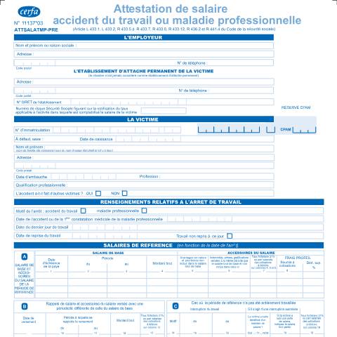 Aperçu du document Attestation de salaire - Accident du travail ou maladie professionnelle — Particuliers, France (CERFA n°11137*03)
