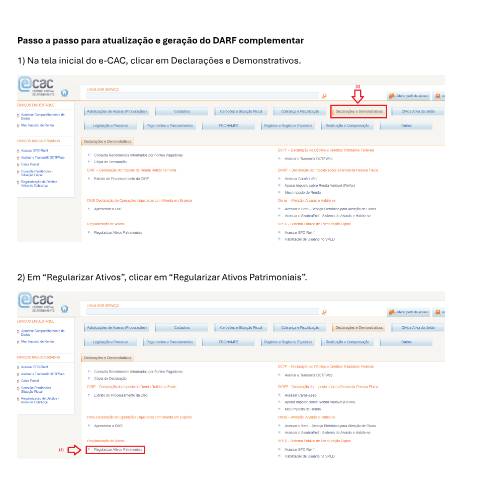 Pré-visualização do documento Passo a passo - Atualizar e emitir Darf - Derp — Declarações, Brasil