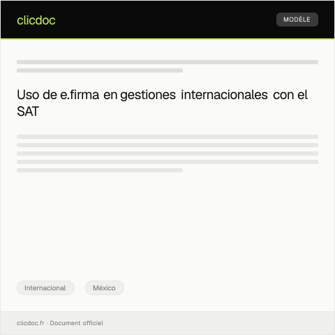Vista previa del documento Autorización para uso de e.firma en trámites internacionales — Internacional, México