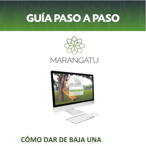 Vista previa del documento Guía Paso A Paso - Baja Autofactura Virtual — Guias, Paraguay