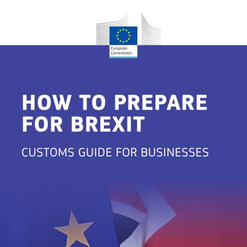 Document preview: Brexit for Business - The Transition Period — how-to-prepare-for-brexit-customs-guide-for-business.pdf — income_tax, Malta (CERFA n°how-to-prepare-for-brexit-customs-guide-for-business)