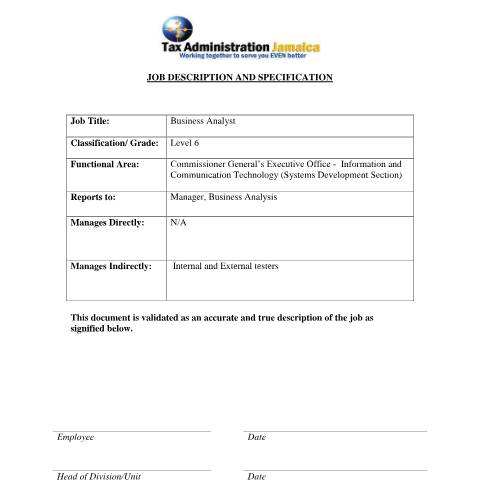 Document preview: Business Analyst (Level 6) — Document, Jamaica (CERFA n°Business+Analyst+(ICT)+)