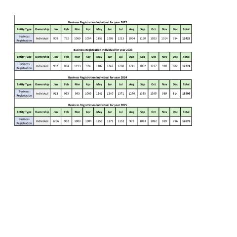 Document preview: Business Registration Individual for year 2022-2025 — Document, Mauritius (CERFA n°Business-Registration-Individual-for-year-2022-2025)