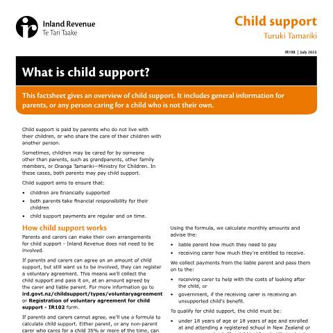 Document preview: What is child support? — Other, New Zealand (CERFA n°IR198)