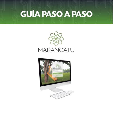 Vista previa del documento Guia Paso a Paso - Cómo consultar pagos a través del Sistema Marangatú — Declaraciones Juradas1, Paraguay