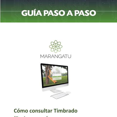 Vista previa del documento Guia paso a paso - Cómo consultar Timbrado Preimpreso — Guias / TIMBRADO, Paraguay