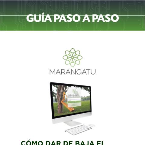 Vista previa del documento Guía paso a paso - Cómo dar de Baja el Timbrado de Facturas Virtuales — Guias / TIMBRADO, Paraguay