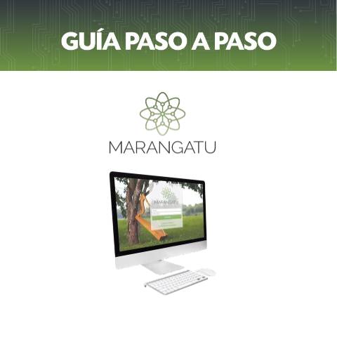 Vista previa del documento Guía Paso a Paso - Cómo obtener comprobantes electrónicos y virtuales — Guias, Paraguay