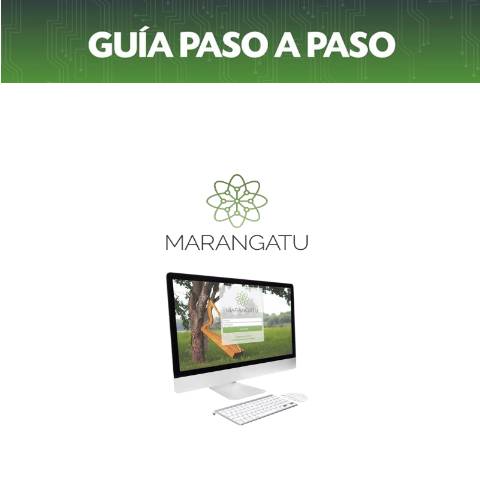 Vista previa del documento Guía Paso a Paso - Como reactivar el RUC Cancelado a través del Servicio Online — Guias / IVA, Paraguay