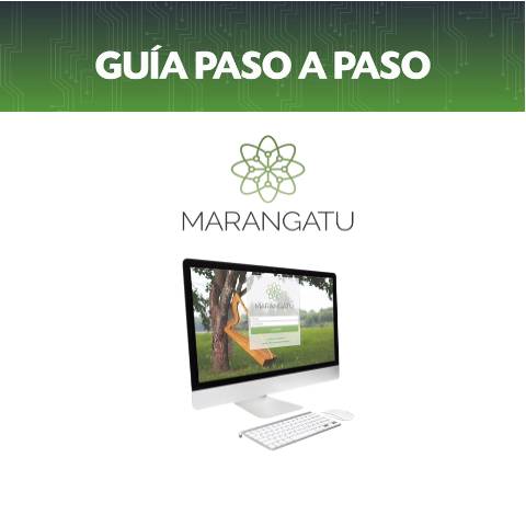 Vista previa del documento Guias paso a paso - Consulta Comprobantes Virtuales — Guias, Paraguay