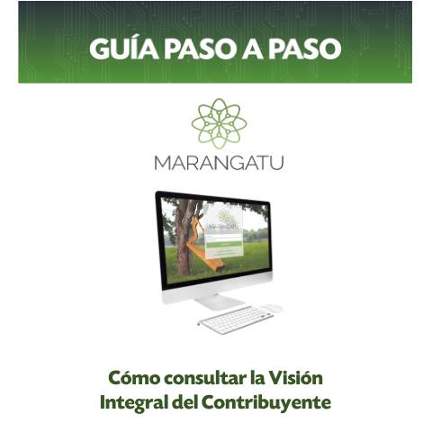 Vista previa del documento Guía paso a paso - Cómo consultar la Visión Integral — Guias, Paraguay