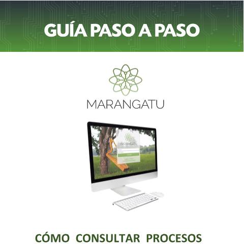 Vista previa del documento Guía paso a paso - Consultar Procesos de Recursos de Reconsideración — Guias, Paraguay