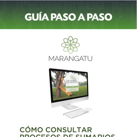 Vista previa del documento Guía paso a paso - Cómo consultar Procesos de Sumarios Administrativos — Guias, Paraguay