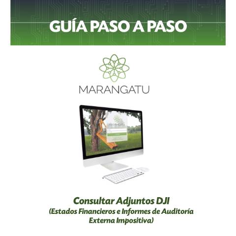 Vista previa del documento Guía Paso a Paso - Consultar adjuntos de Declaraciones Juradas Informativas — Guias / IVA, Paraguay