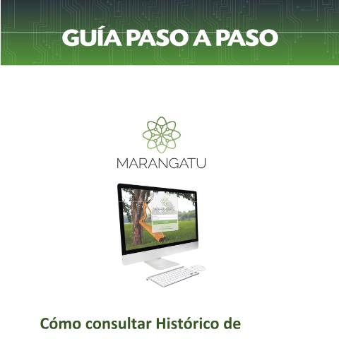 Vista previa del documento Guia paso a paso - Cómo consultar historico de timbrado — Guias / TIMBRADO, Paraguay