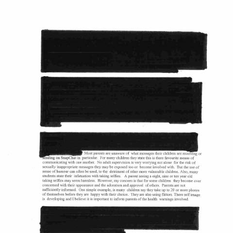 Document preview: Consultation on Data protection safeguards for children (‘digital age of consent’) — individual 5 2893e274 31eb 4dec a653 1c454b65558d — Department of Justice, Home Affairs and Migration, Ireland