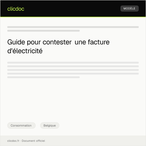 Aperçu du document Contestations d'une facture d'électricité contestée — Consommation, Belgique
