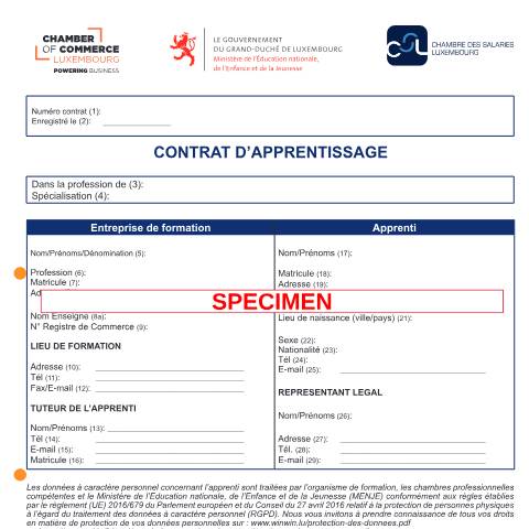 Aperçu du document Contrat d'apprentissage - modèle — Contrat recrutement, Luxembourg (CERFA n°7567)