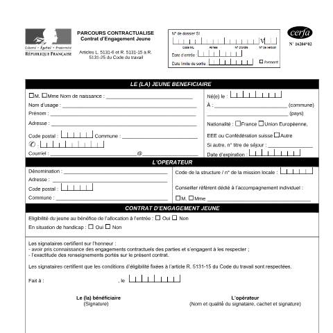 Aperçu du document Contrat d'engagement jeune — Particuliers, France (CERFA n°16204*02)