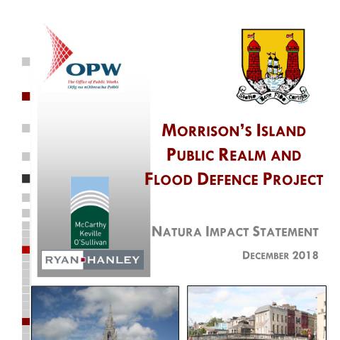 Document preview: Cork City Council - Flood Defence Works — planning application to abp appendix c nis 51299 kb — Department of Housing, Local Government and Heritage, Ireland
