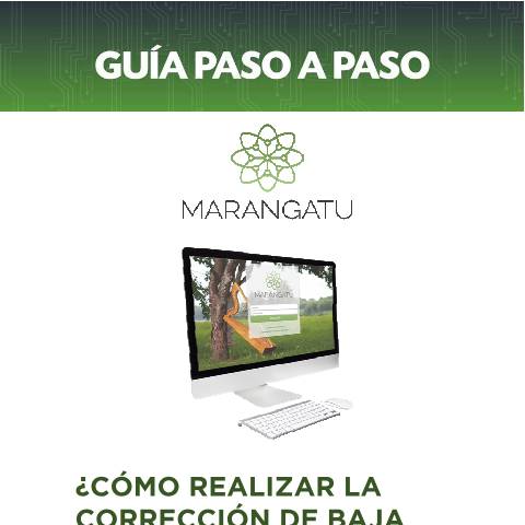 Vista previa del documento Guía Paso a Paso - Corrección de Baja de Documento Preimpresos — Guias, Paraguay