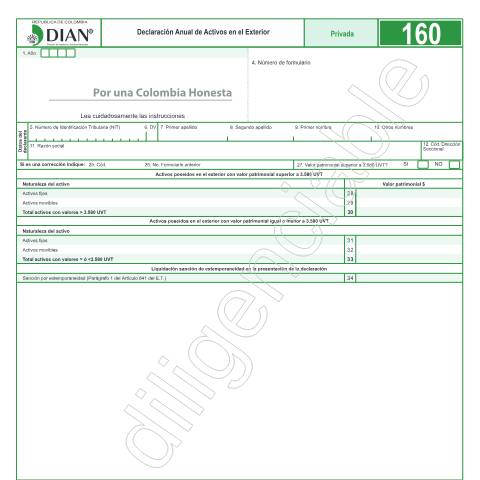 Vista previa del documento Declaración Anual de Activos en el Exterior - Resolución 4 de enero 15 de 2019 — Año 2019, Colombia (CERFA n°F160-2019)