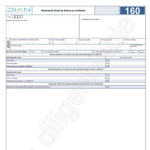 Vista previa del documento Declaración Anual de Activos en el Exterior - Resolución 4 de enero 15 de 2019 — Año 2021, Colombia (CERFA n°F160-2021)