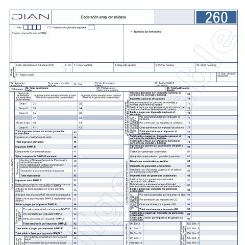 Vista previa del documento Declaración anual consolidada. Resolución 000061 del 08 de abril de 2024. — Año 2024, Colombia (CERFA n°F260-2024)