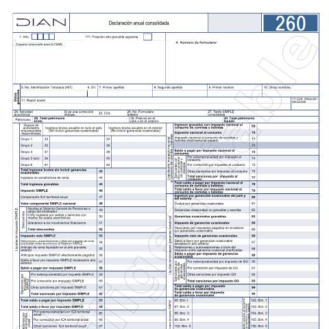 Vista previa del documento Declaración anual consolidada. Resolución 000187 de 2024 del 25 de octubre de 2024 — Año 2025, Colombia (CERFA n°F260-2025)