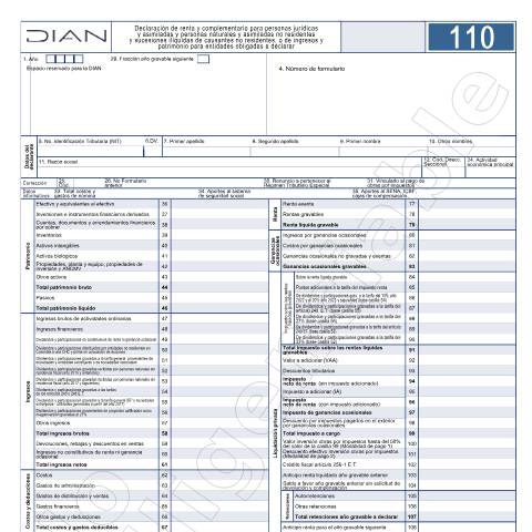 Vista previa del documento Declaración de renta y complementario para personas jurídicas y asimiladas y personas naturales y asimiladas no residentes y sucesiones ilíquidas de causantes no residentes o de ingresos y patrimonio para entidades obligadas a declarar. Res 000022 de 2023 — Año 2025, Colombia (CERFA n°F110-2025)