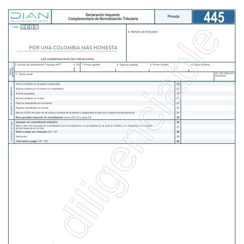 Vista previa del documento Declaración Impuesto Complementario de Normalización Tributaria - Resolución 000045 de mayo 7 de 2020 — Año 2020, Colombia (CERFA n°F445-2020)