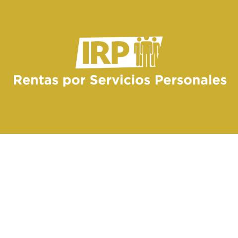 Vista previa del documento IRP RSP 2024 — Irp, Paraguay