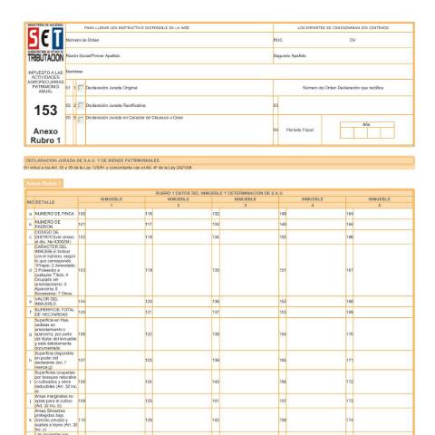 Vista previa del documento Anexo Rubro 1 del Formulario Nº 153 — Declaraciones Juradas, Paraguay (CERFA n°F153)