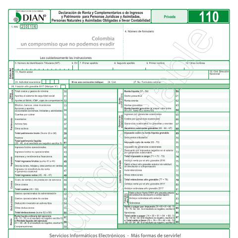 Vista previa del documento Declaración de Renta y Complementarios — Año 2017, Colombia (CERFA n°F110-2017)