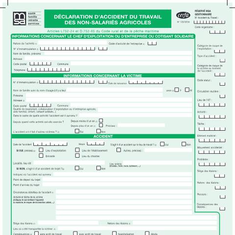 Aperçu du document Déclaration d'accident du travail des non-salariés agricoles — Professionnels, France (CERFA n°12578*04)