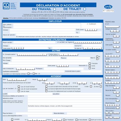 Aperçu du document Déclaration d'accident du travail des salariés agricoles — Professionnels, France (CERFA n°12502*03)