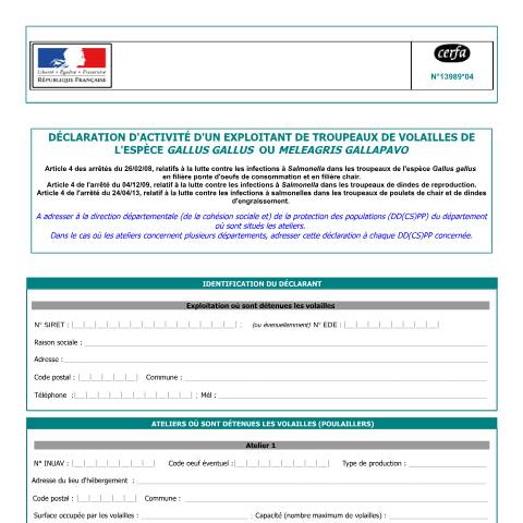 Aperçu du document Déclaration d'activité d'un exploitant de troupeaux de volailles de l'espèce Gallus gallus — Professionnels, France (CERFA n°13989*04)