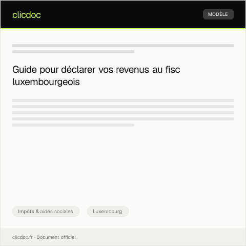 Aperçu du document Déclaration annuelle de revenus pour le fisc luxembourgeois via MyGuichet.lu — Impôts & aides sociales, Luxembourg