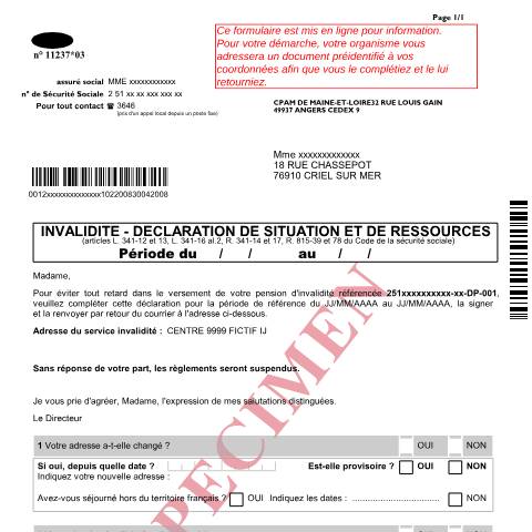 Aperçu du document Assurance invalidité - Déclaration de situation et de ressources — Particuliers, France (CERFA n°11237*03)