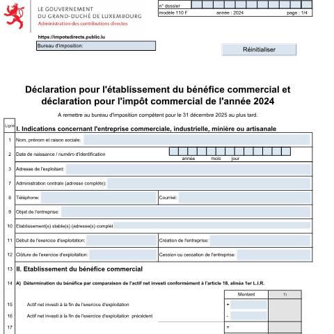 Aperçu du document Déclaration pour l'établissement du bénéfice commercial et déclaration pour l’impôt commercial — Impôt commercial, Luxembourg (CERFA n°110 F)