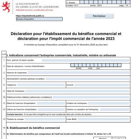 Aperçu du document Déclaration pour l'établissement du bénéfice commercial et déclaration pour l’impôt commercial — Impôt commercial, Luxembourg (CERFA n°110 F)